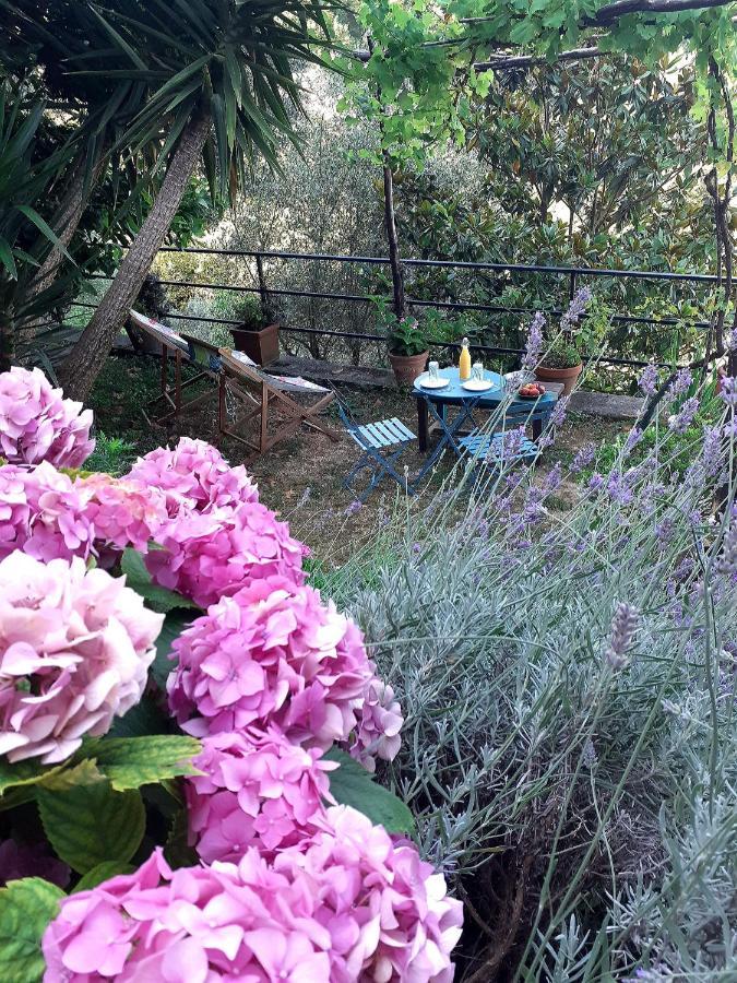 B&B I Glicini Vescina Exterior foto