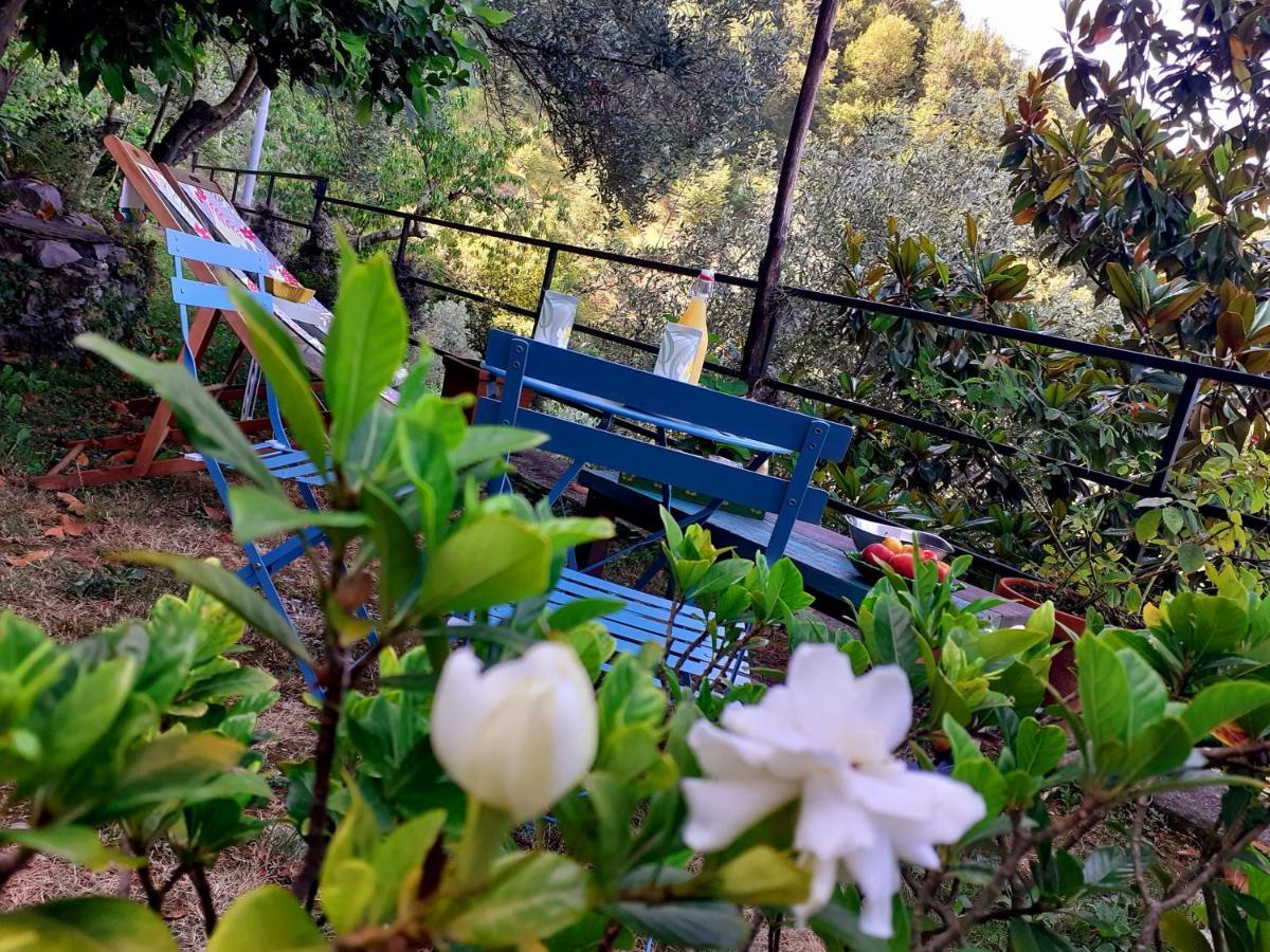 B&B I Glicini Vescina Exterior foto