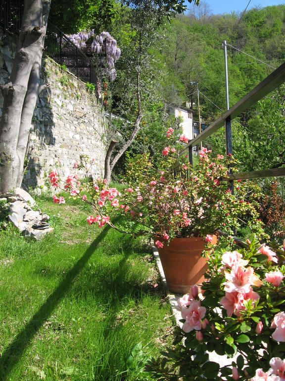 B&B I Glicini Vescina Exterior foto
