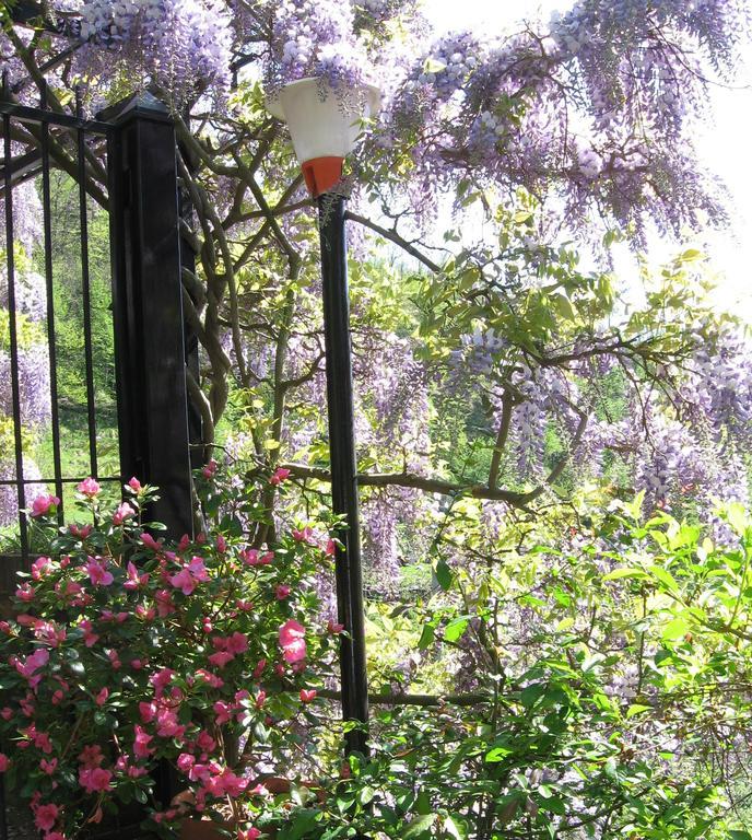 B&B I Glicini Vescina Exterior foto