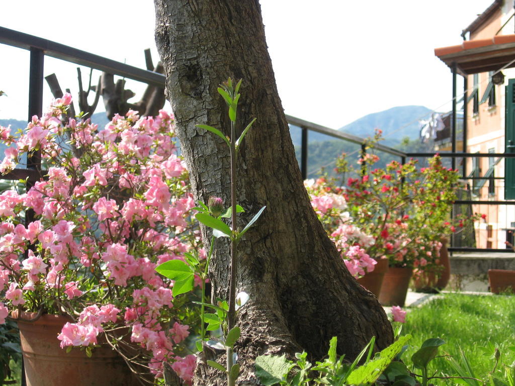B&B I Glicini Vescina Exterior foto