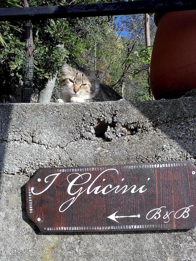 B&B I Glicini Vescina Exterior foto