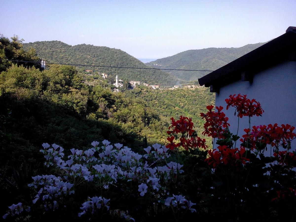 B&B I Glicini Vescina Exterior foto