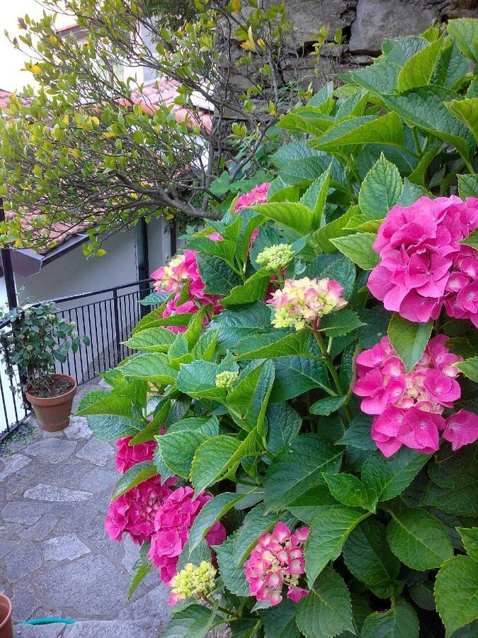 B&B I Glicini Vescina Exterior foto