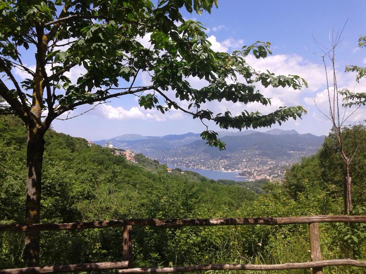 B&B I Glicini Vescina Exterior foto